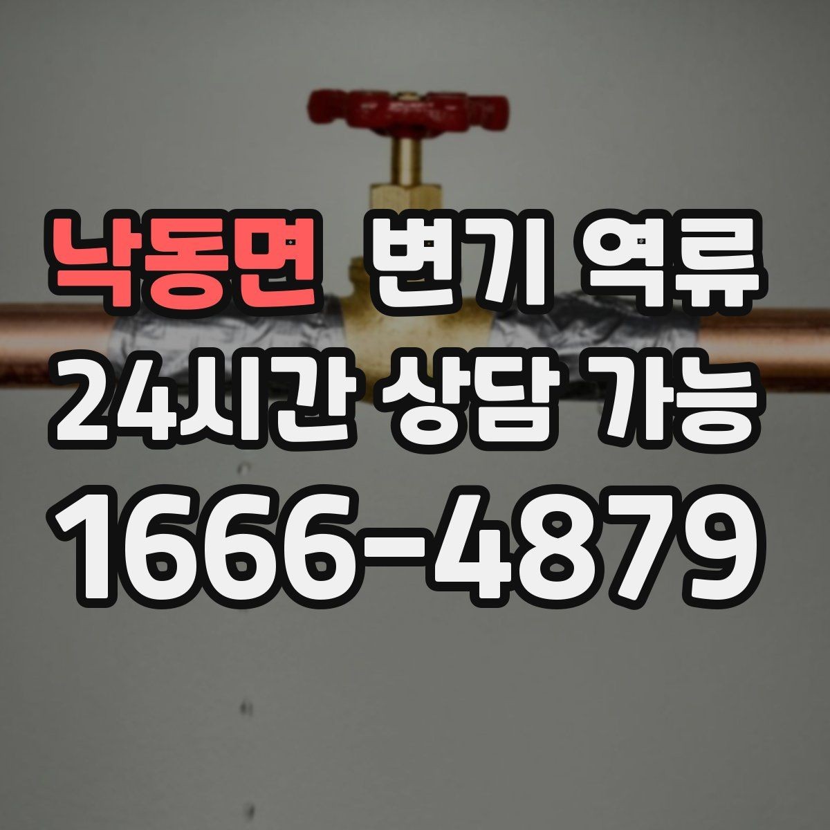 낙동면 변기 역류 우리 집만의 문제가 아닐 수 있는 신호