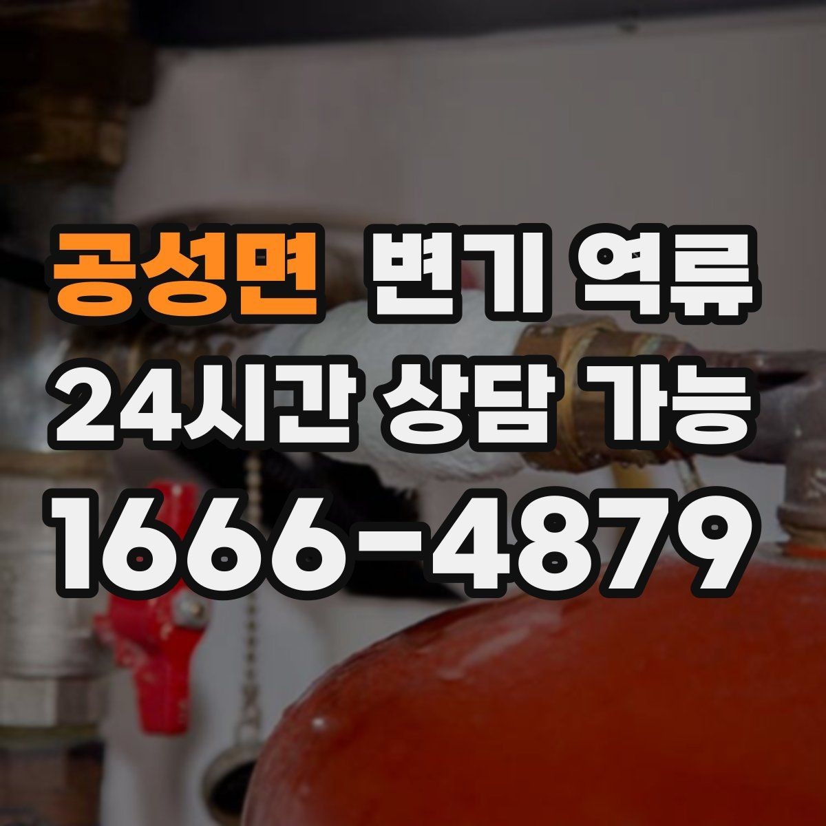 공성면 변기 역류 변기만 문제인지 다른 배수구도 느린지 확인
