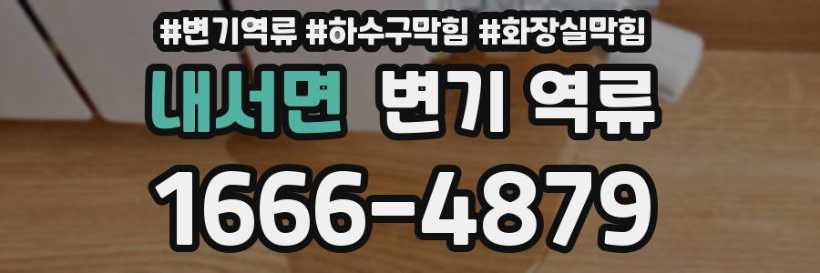 내서면 변기 역류