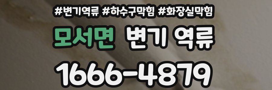 모서면 변기 역류