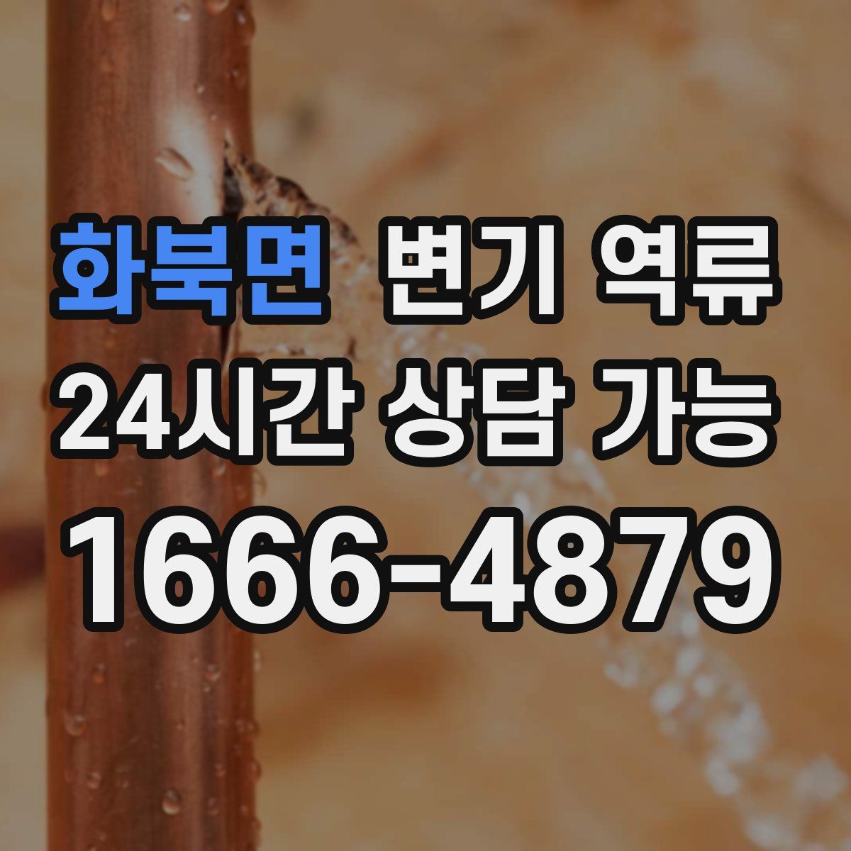 화북면 변기 역류