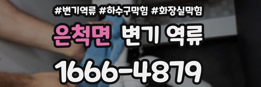 은척면 변기 역류