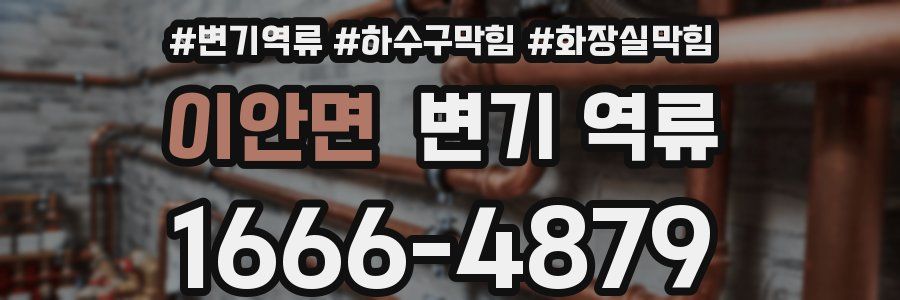 이안면 변기 역류