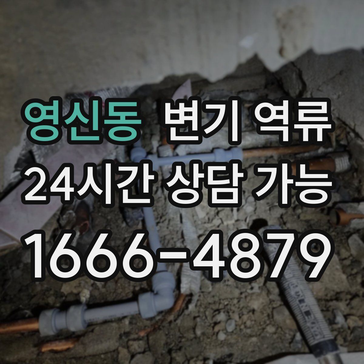 영신동 변기 역류