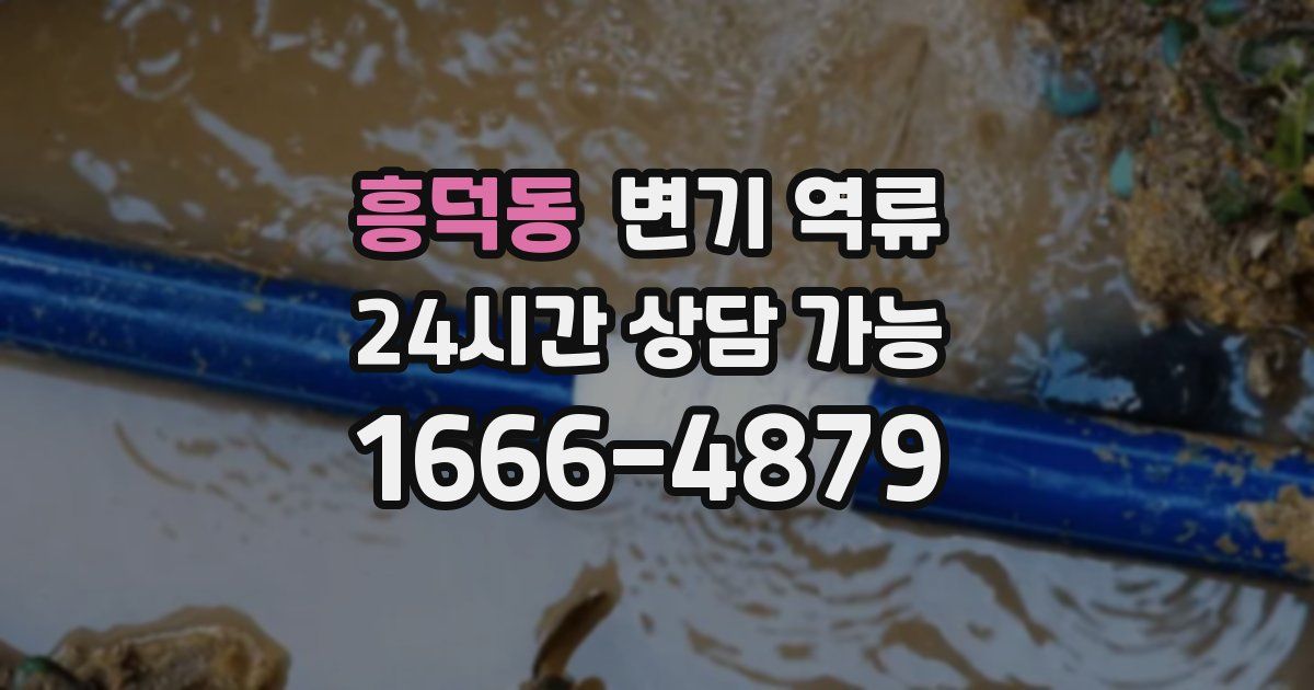 흥덕동 변기 역류