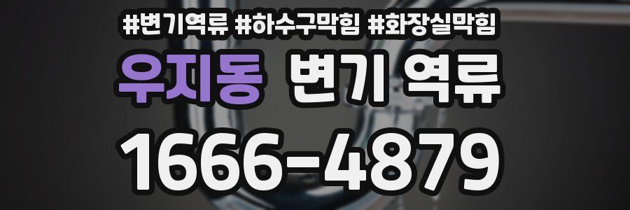 우지동 변기 역류