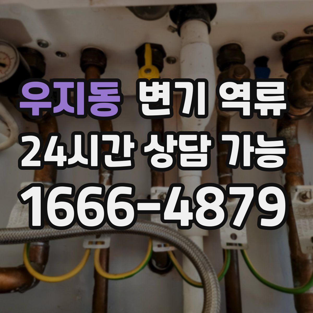 우지동 변기 역류