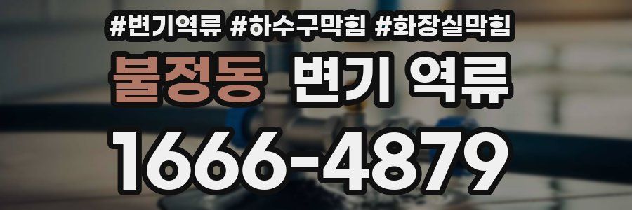 불정동 변기 역류