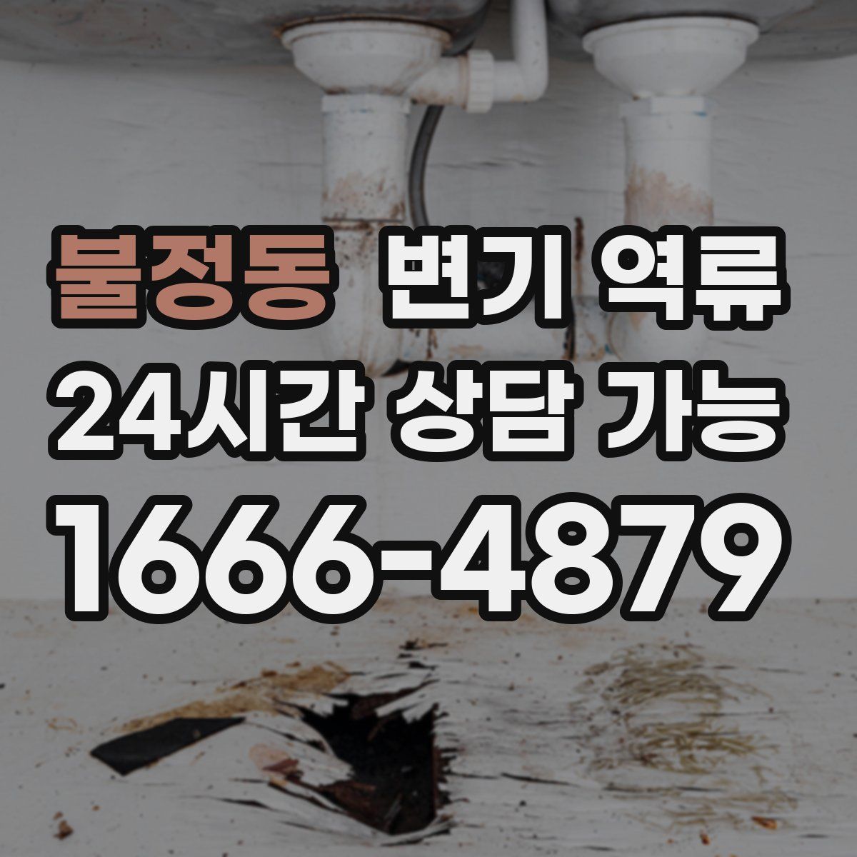 불정동 변기 역류