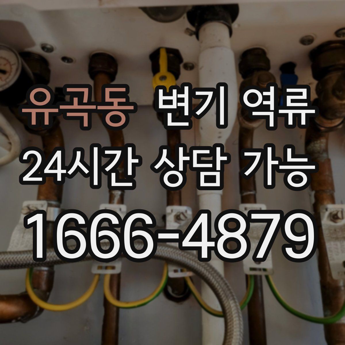 유곡동 변기 역류 보험보다 먼저 해야 할 현실 대응