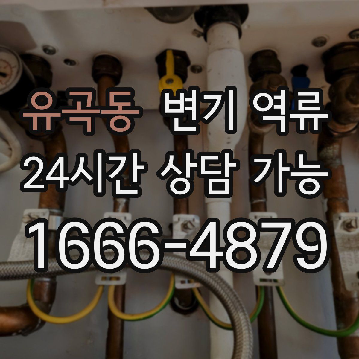 유곡동 변기 역류