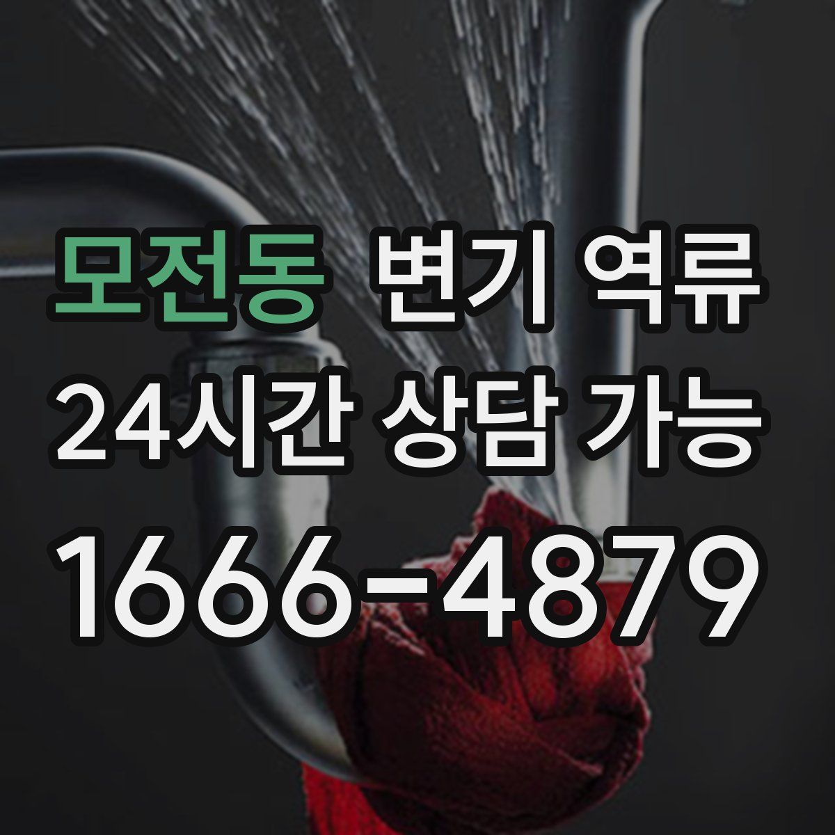 모전동 변기 역류