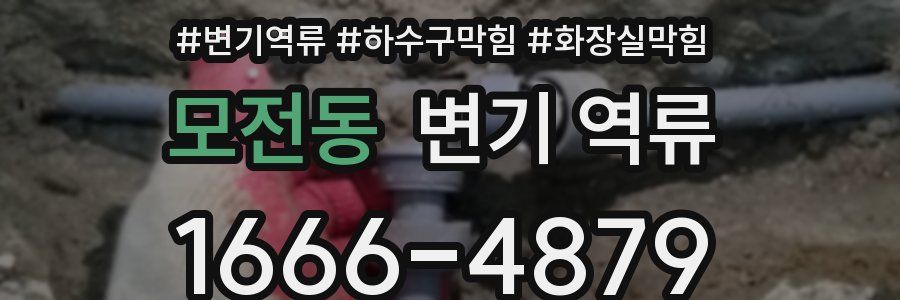모전동 변기 역류