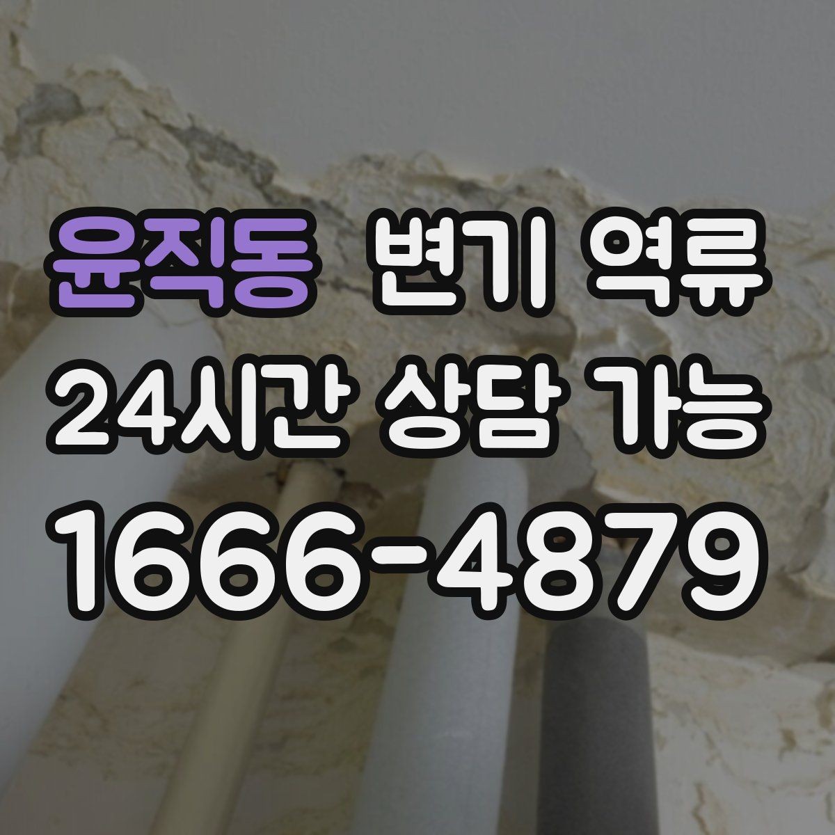 윤직동 변기 역류 변기만 막힌 줄 알았는데 배관 문제인 경우