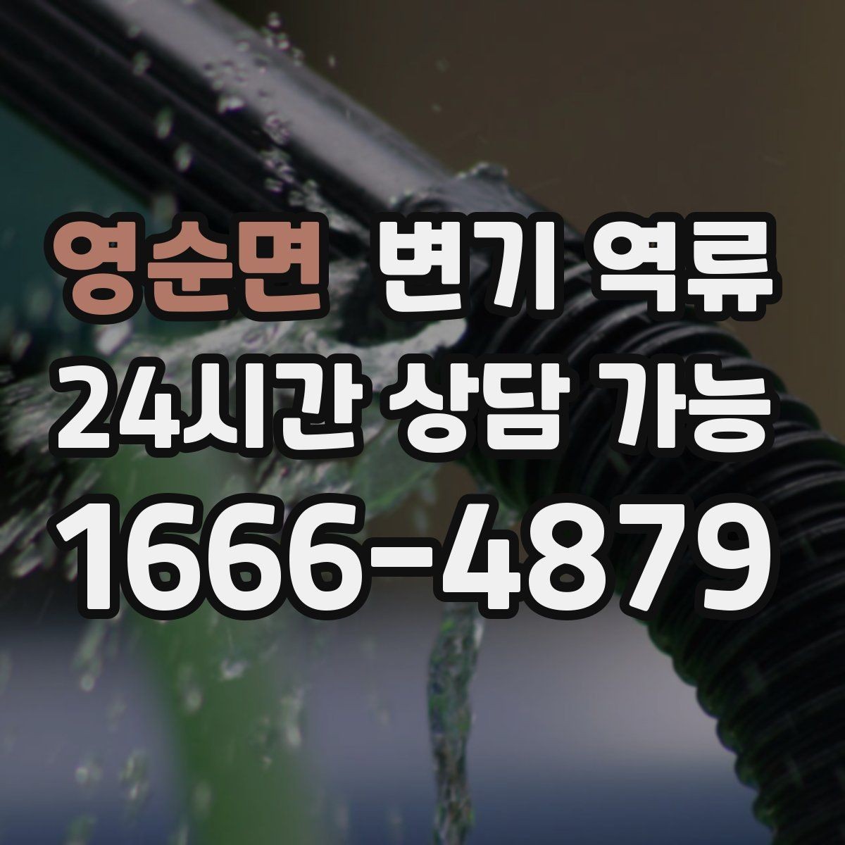 영순면 변기 역류 변기에 버리면 안 되는 것 깔끔하게 정리