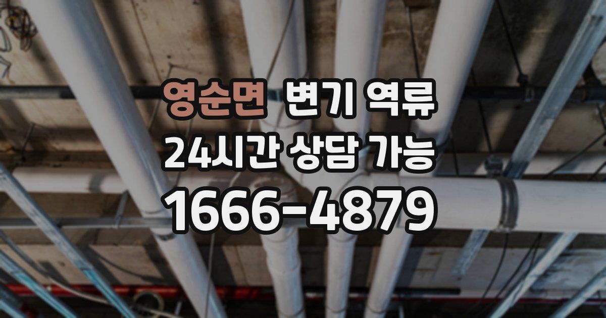 영순면 변기 역류