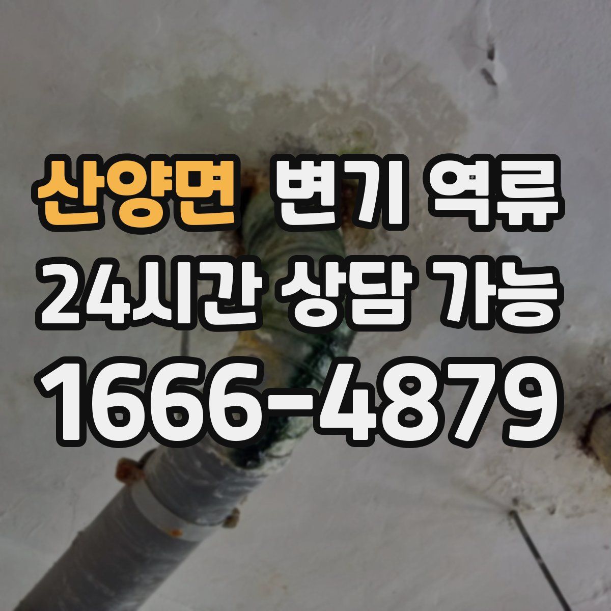 산양면 변기 역류