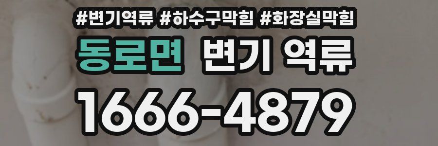 동로면 변기 역류