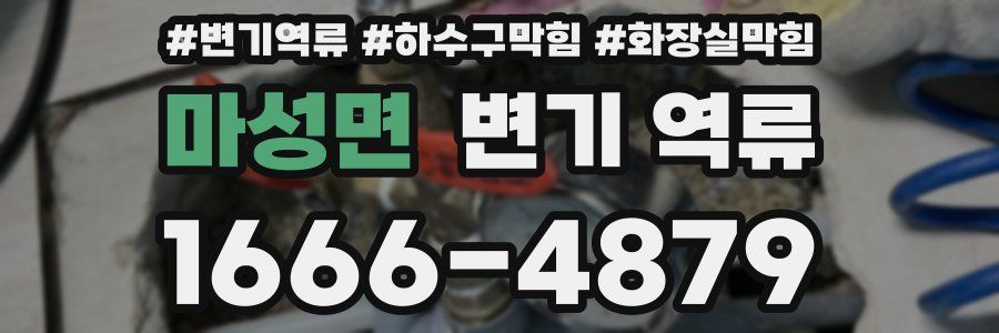 마성면 변기 역류