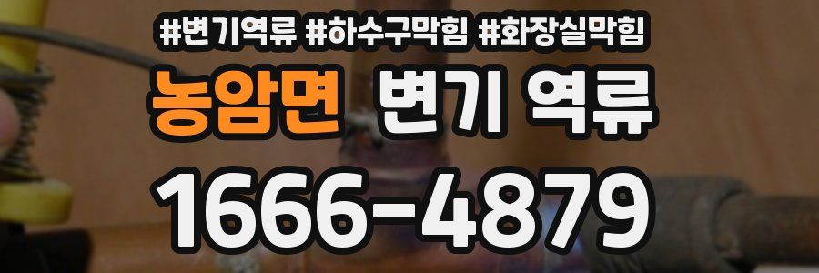 농암면 변기 역류