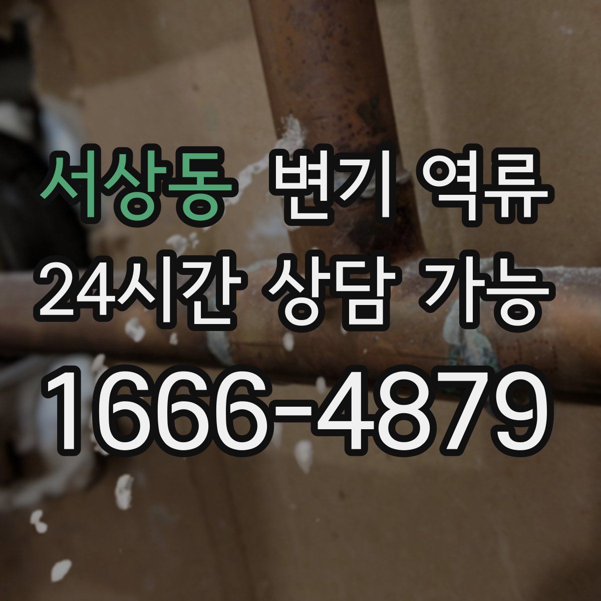 서상동 변기 역류