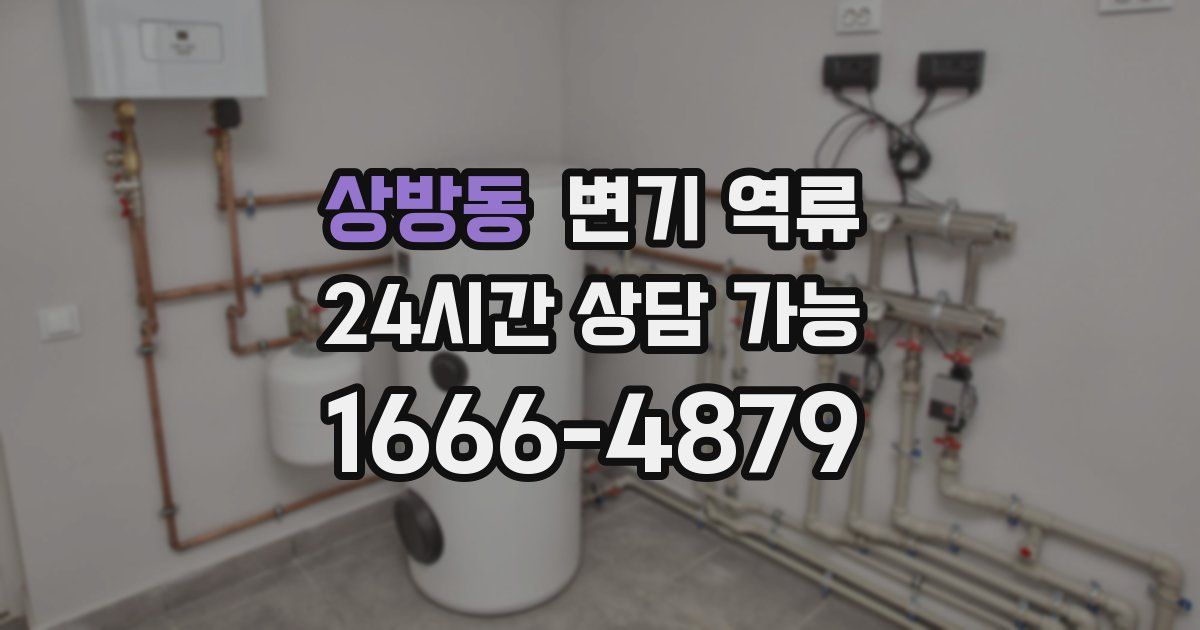 상방동 변기 역류