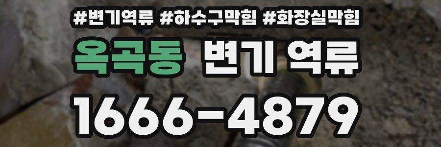 옥곡동 변기 역류