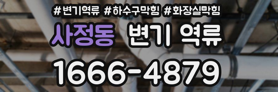 사정동 변기 역류