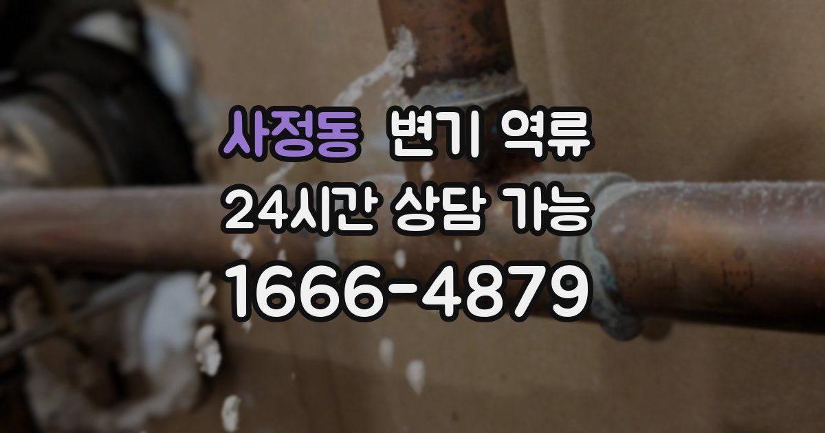 사정동 변기 역류