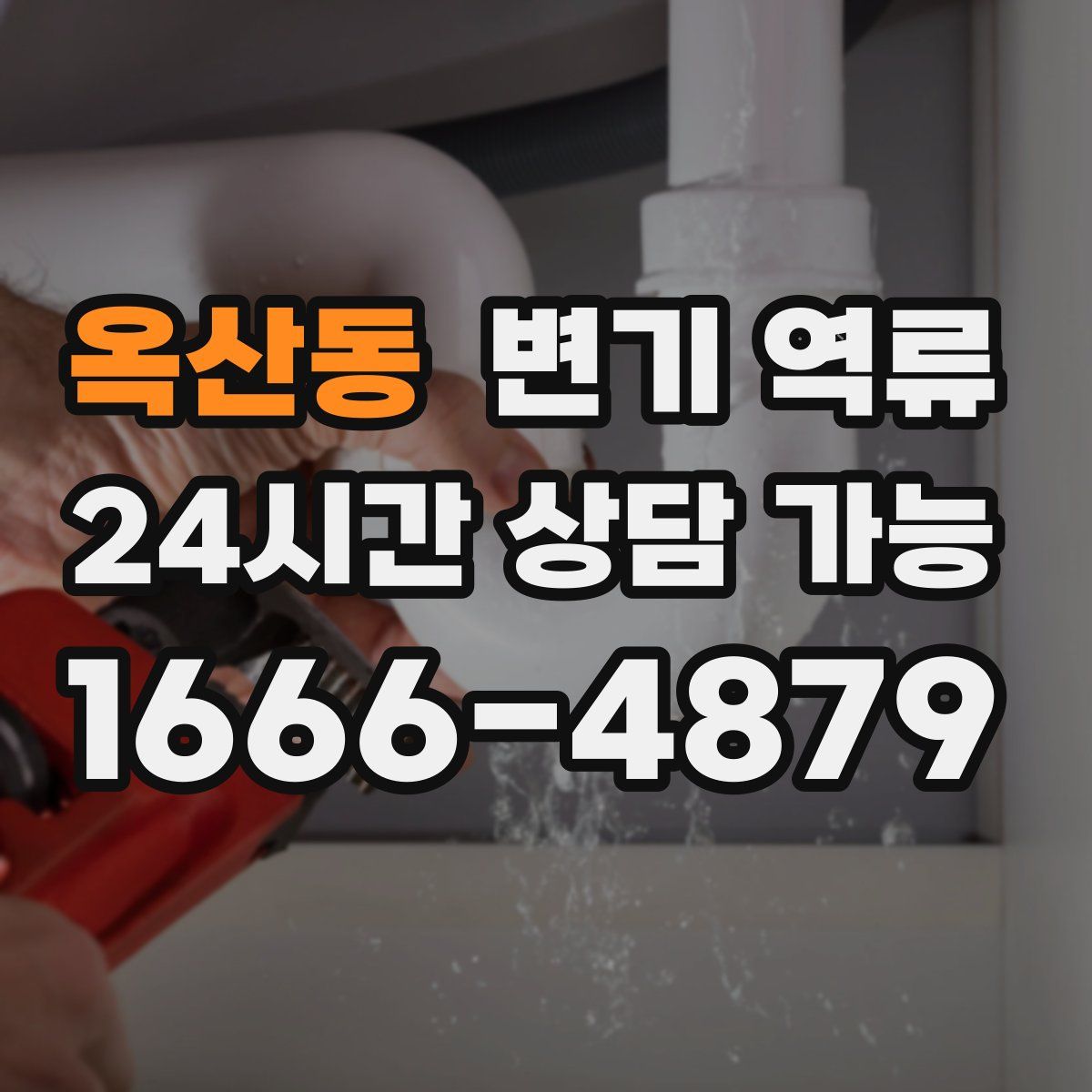 옥산동 변기 역류