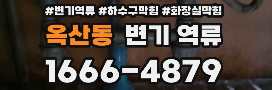 옥산동 변기 역류
