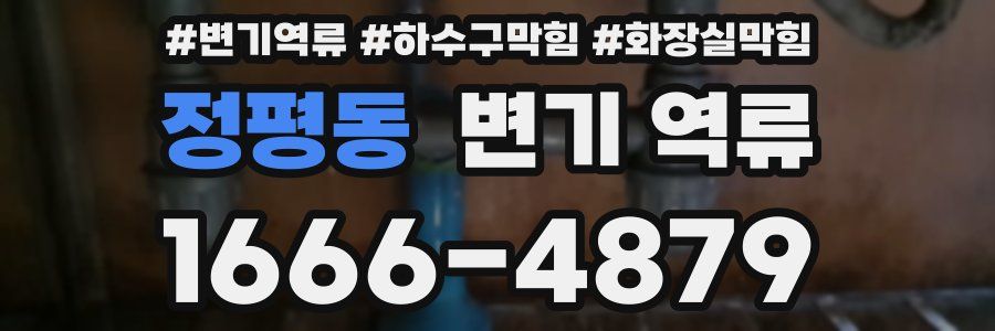 정평동 변기 역류