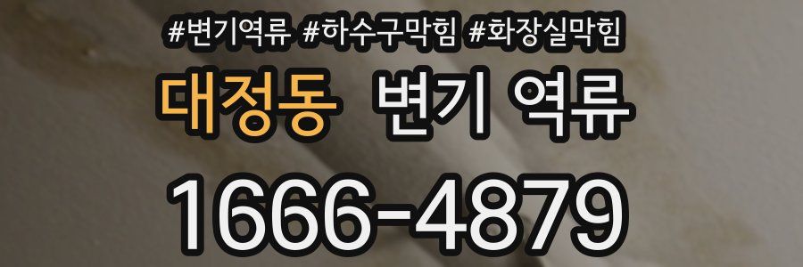 대정동 변기 역류