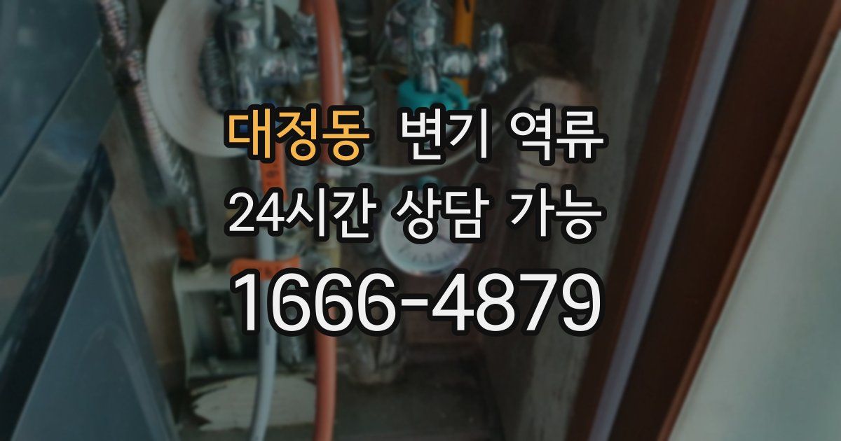 대정동 변기 역류