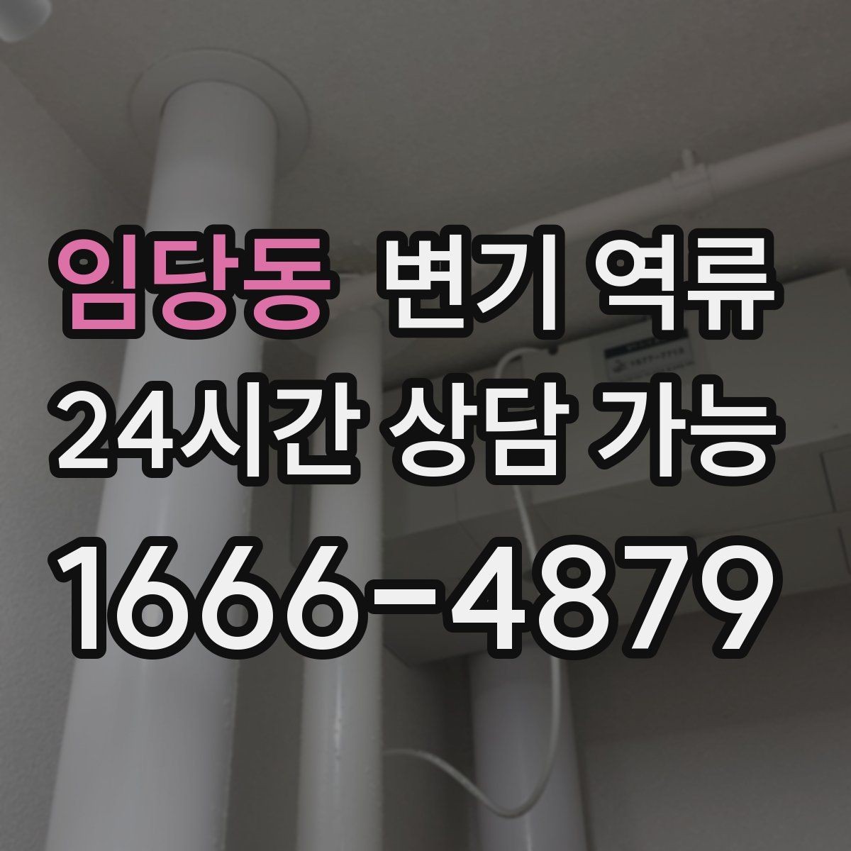 임당동 변기 역류 상가 화장실에서 자주 생기는 이유