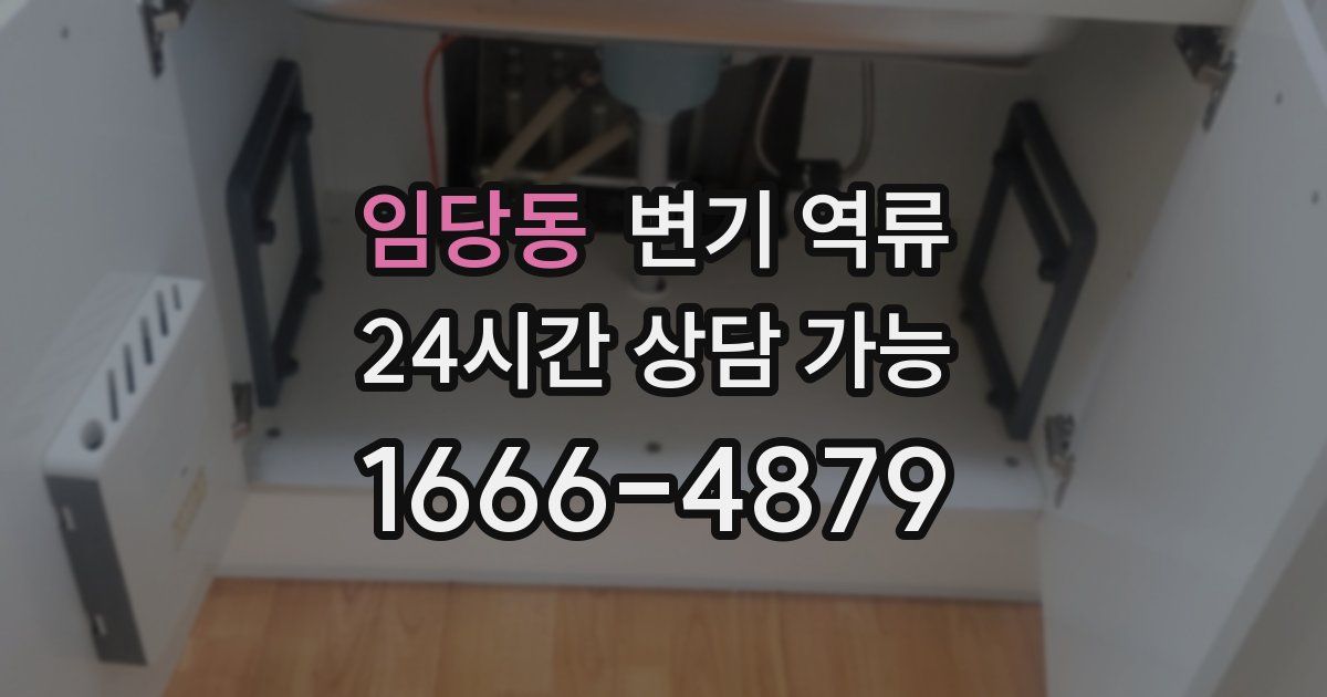 임당동 변기 역류