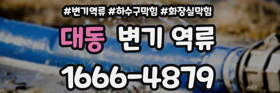 대동 변기 역류