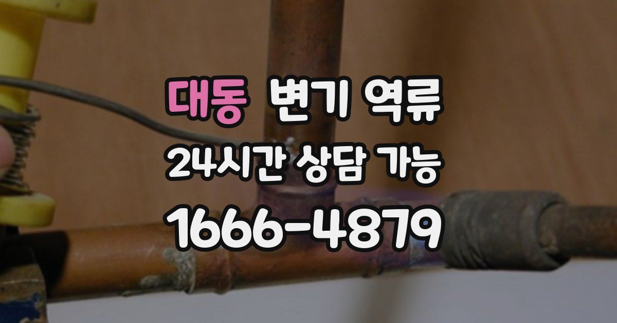 대동 변기 역류