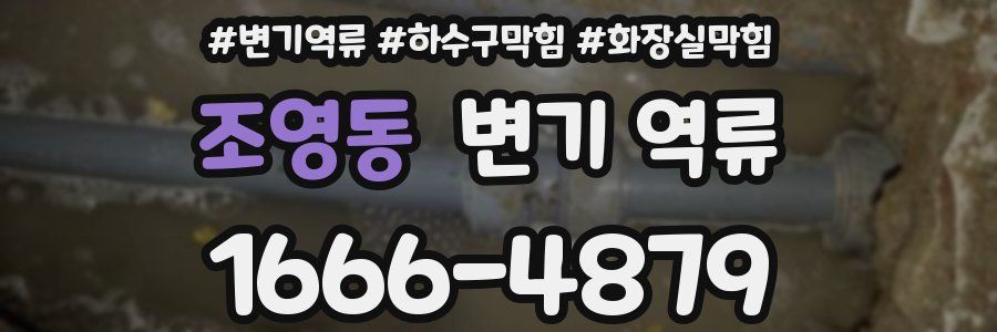 조영동 변기 역류