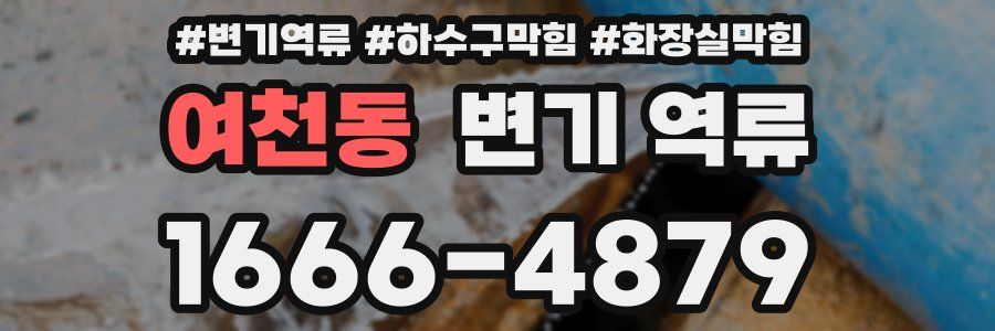 여천동 변기 역류