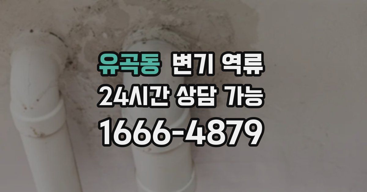 유곡동 변기 역류