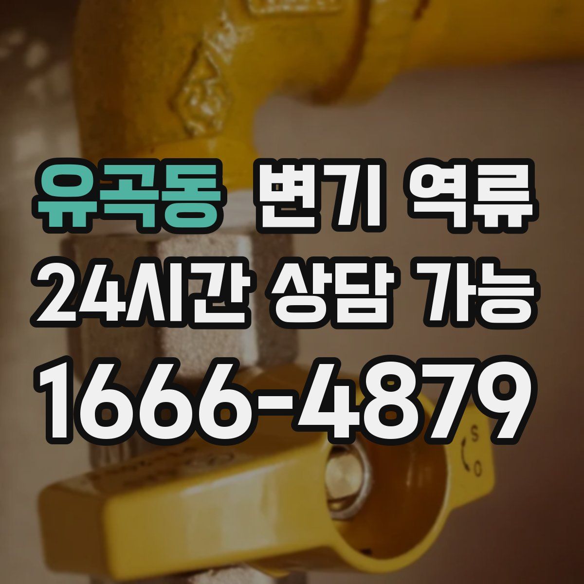 유곡동 변기 역류