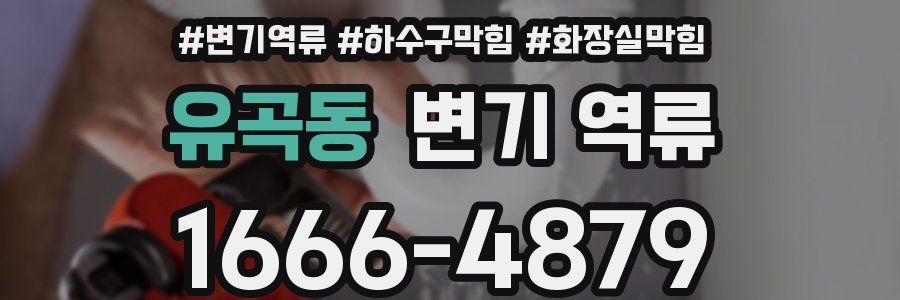 유곡동 변기 역류