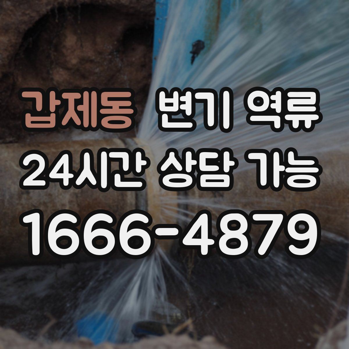 갑제동 변기 역류 변기만 문제인지 다른 배수구도 느린지 확인