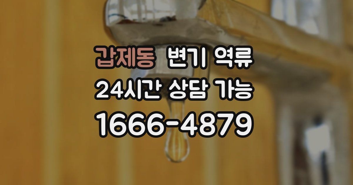 갑제동 변기 역류