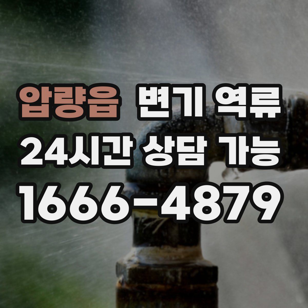 압량읍 변기 역류