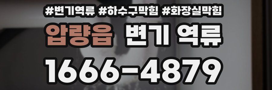 압량읍 변기 역류