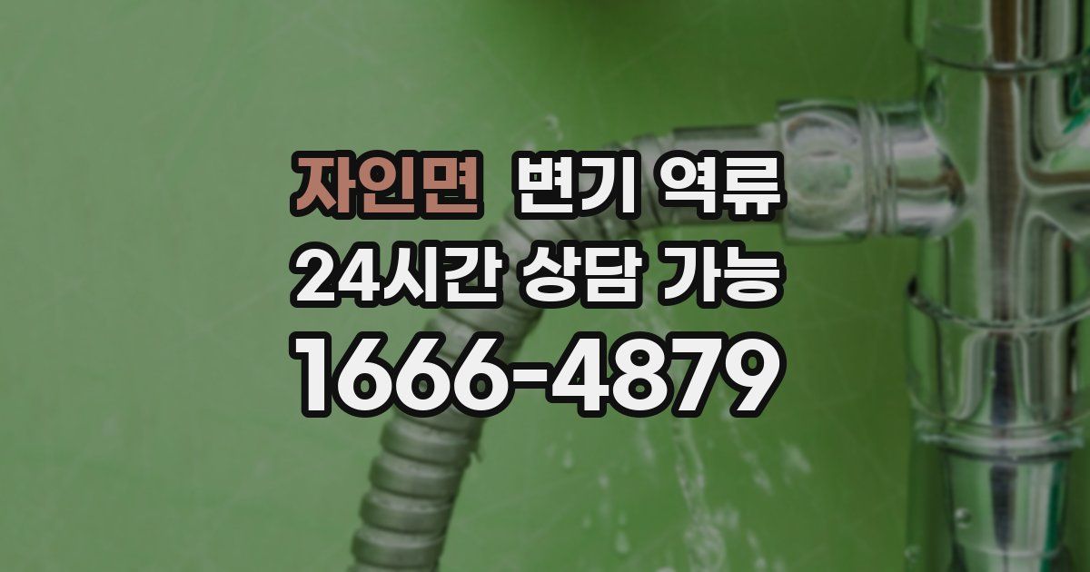 자인면 변기 역류