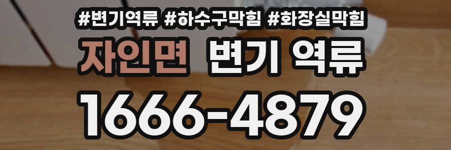 자인면 변기 역류