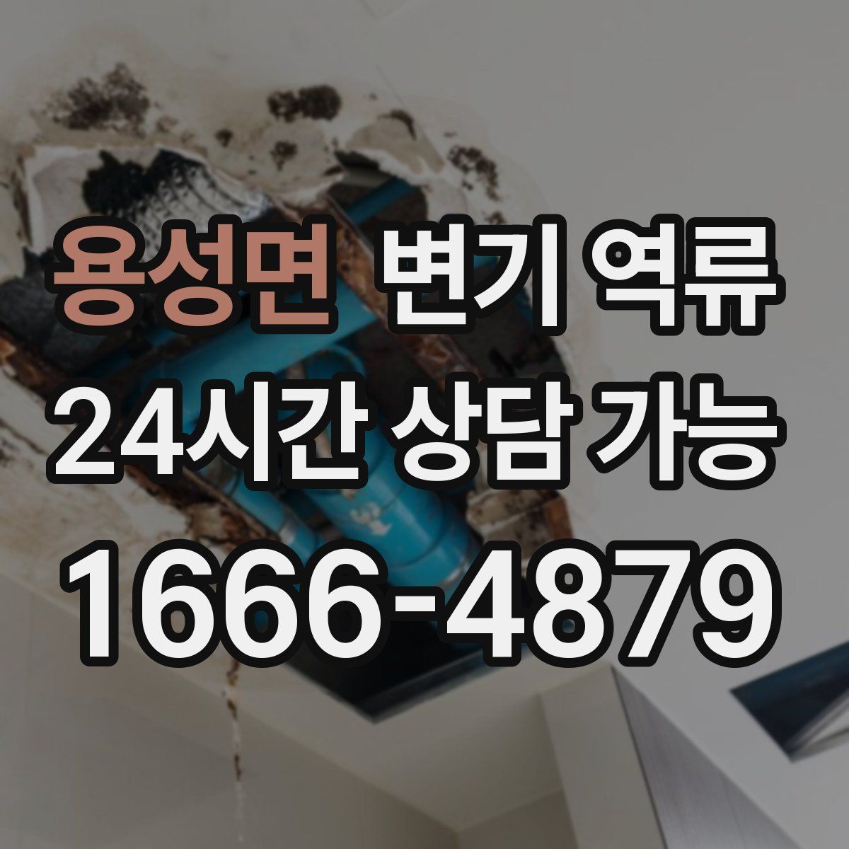 용성면 변기 역류